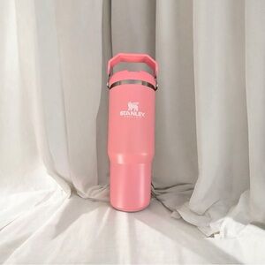 Stanley IceFlow Flip Straw Tumbler